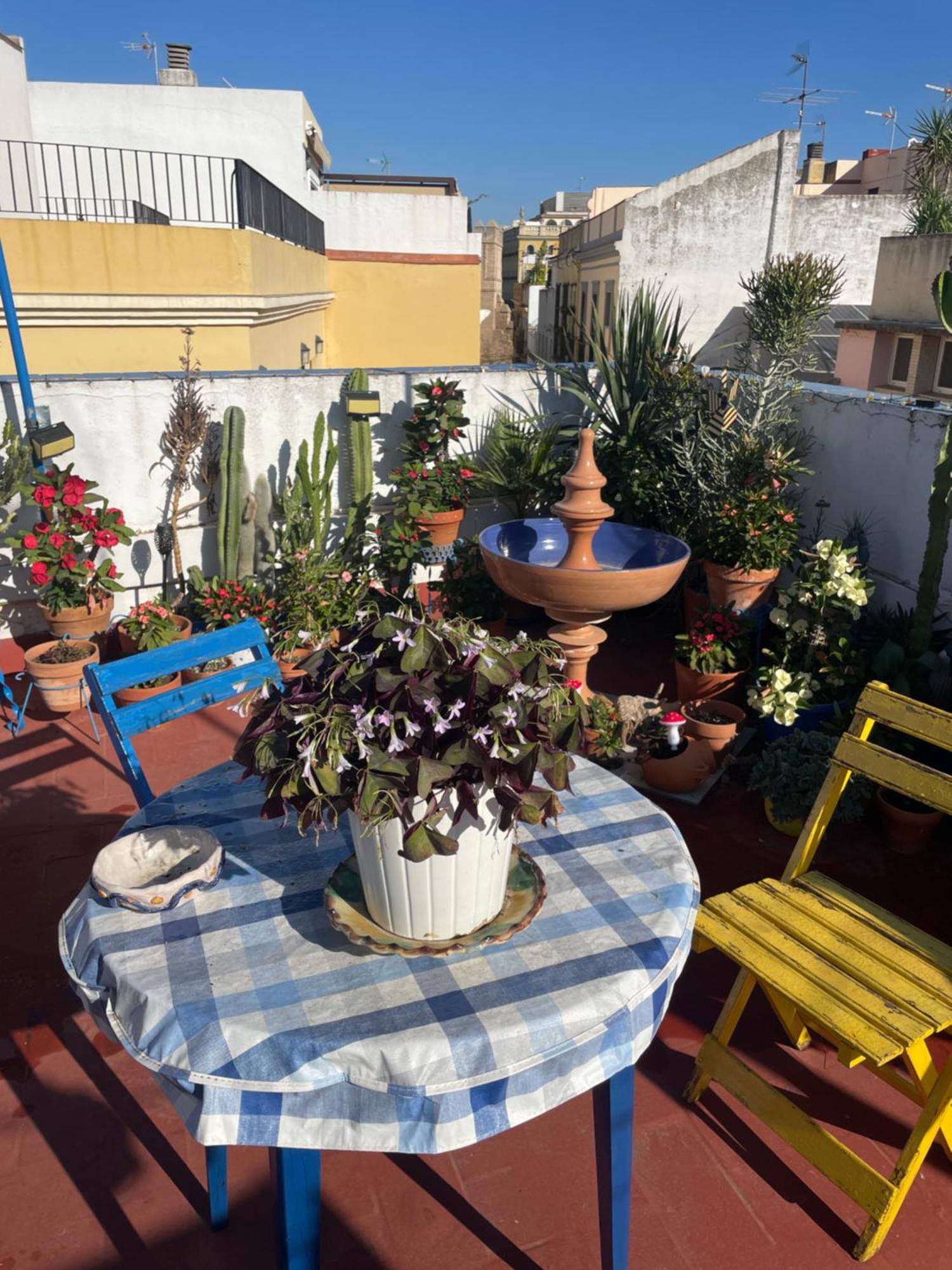 Arco Macarena Apartment Sevilla Bagian luar foto